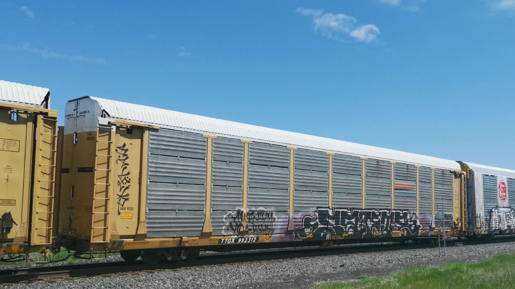 BNSF 91132 (Body) TTGX 982312 (Flat)